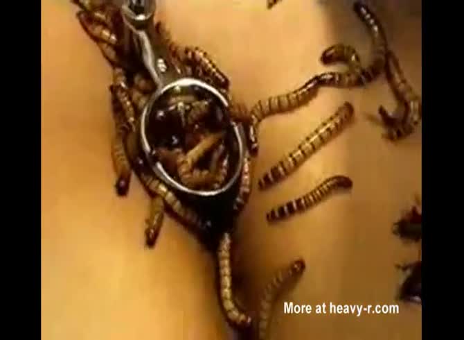 Video :Asian slut with worms and insects entering her holes